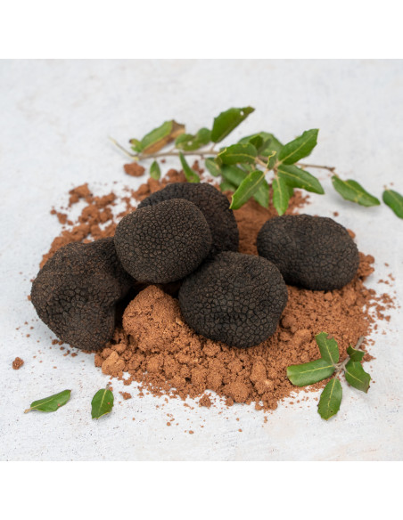 Trufa Negra Extra
