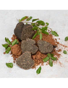 Trozos de Trufa Negra