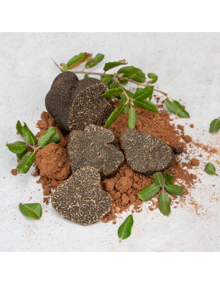 Trozos de Trufa Negra