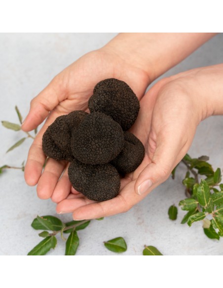 Trufa Negra Extra