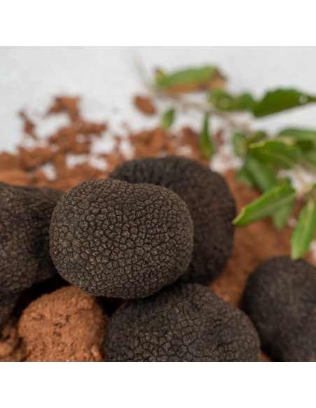 Trufa Negra Extra