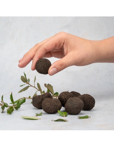 Trufa Negra Pequeña