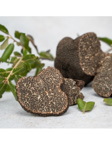 Trozos de Trufa Negra