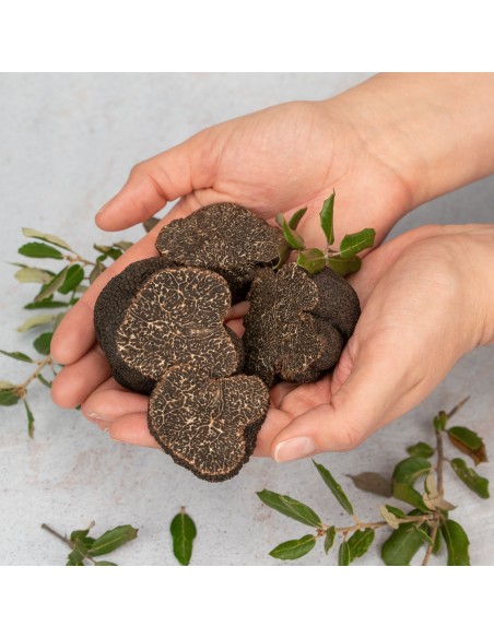 Trozos de Trufa Negra