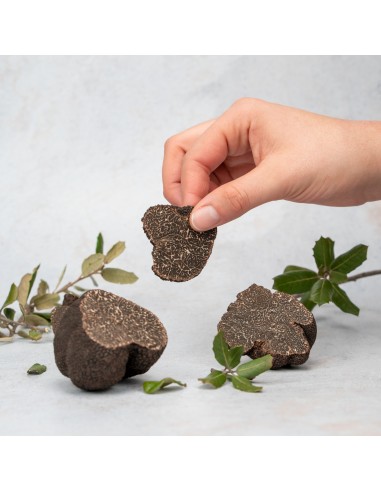 Trozos de Trufa Negra