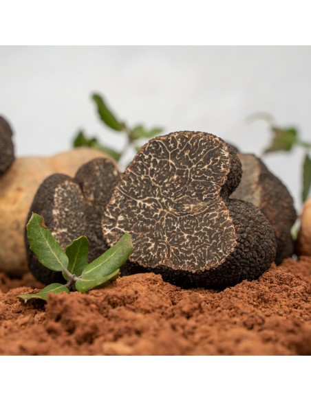 Trozos de Trufa Negra